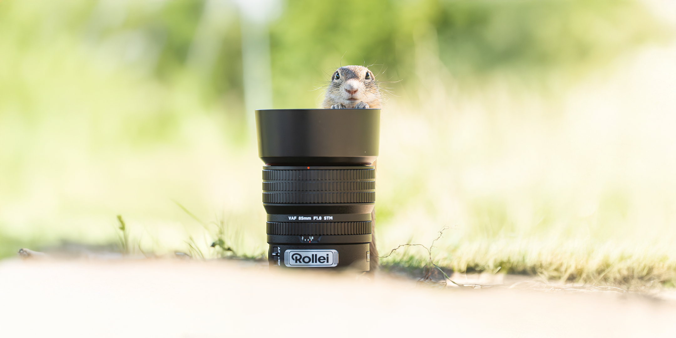 Mehr als nur Porträts: Wenn ein 85 mm seine Vielseitigkeit entdeckt