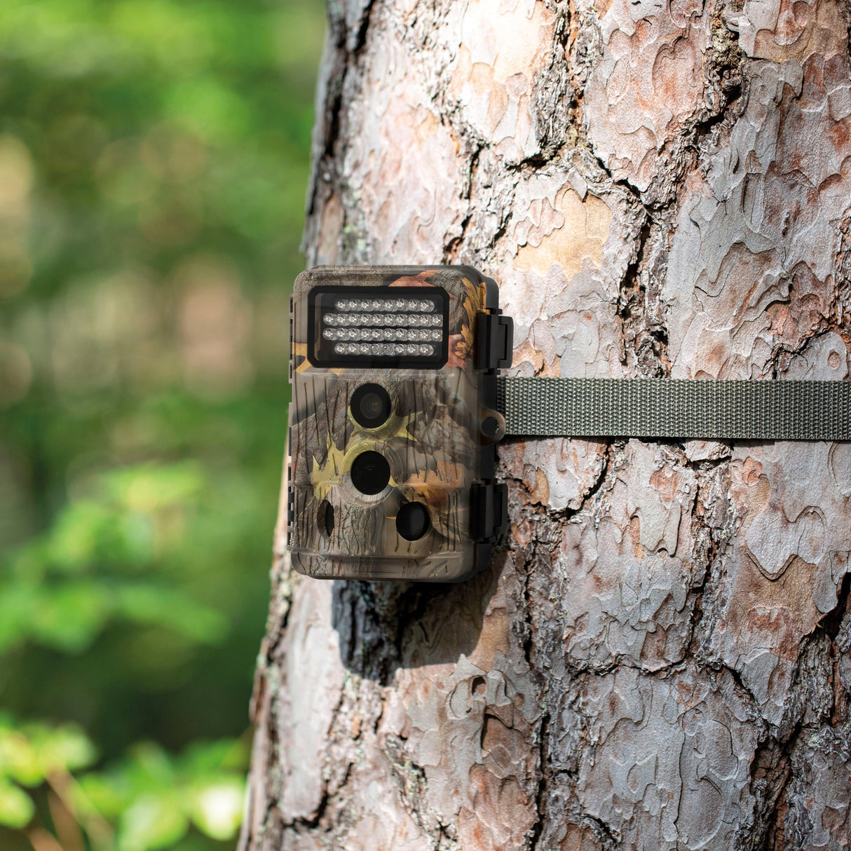 B-Ware: Wildkamera HD-2