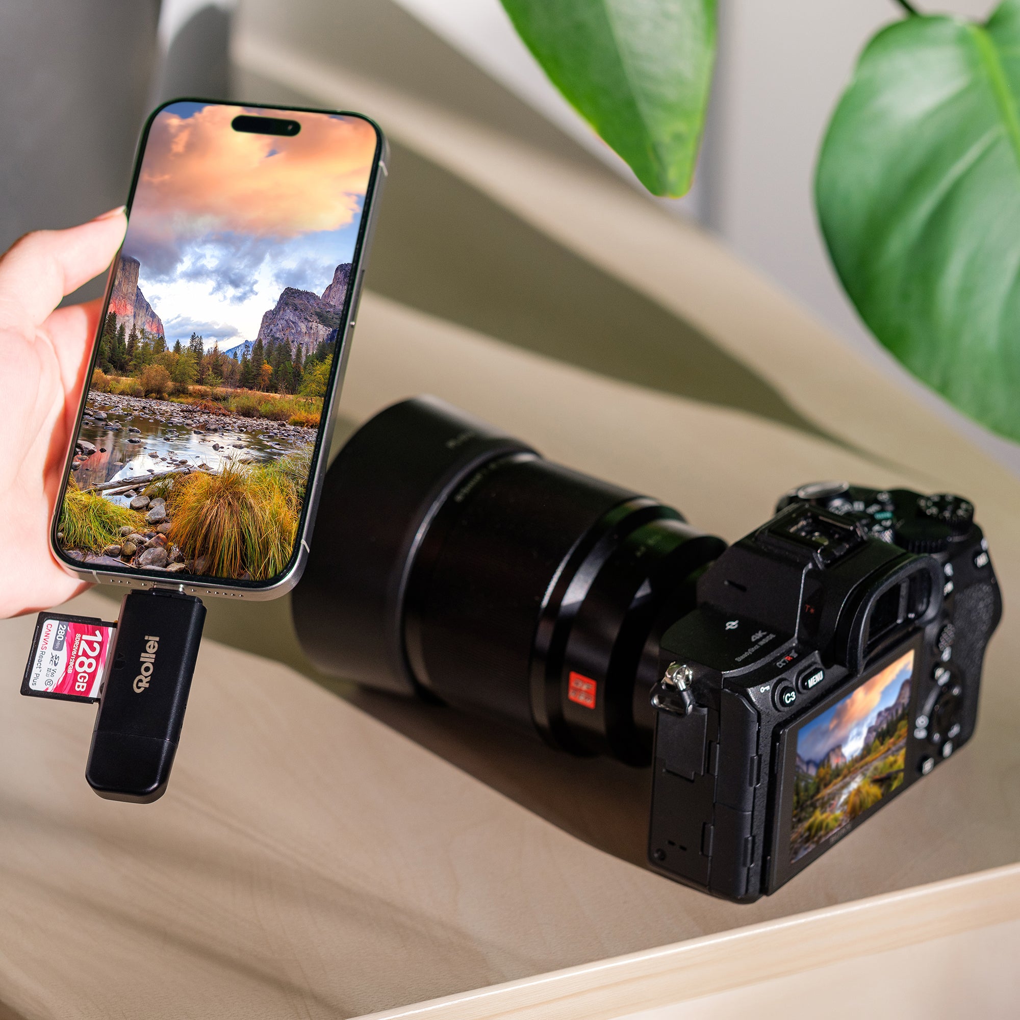 Bundle 2-in-1 Kartenlesegerät + Case | Micro-SD & SD