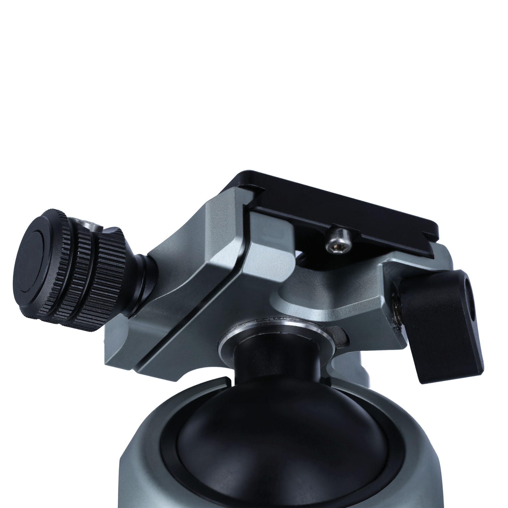 Stativkopf | für Lion Rock Pro
