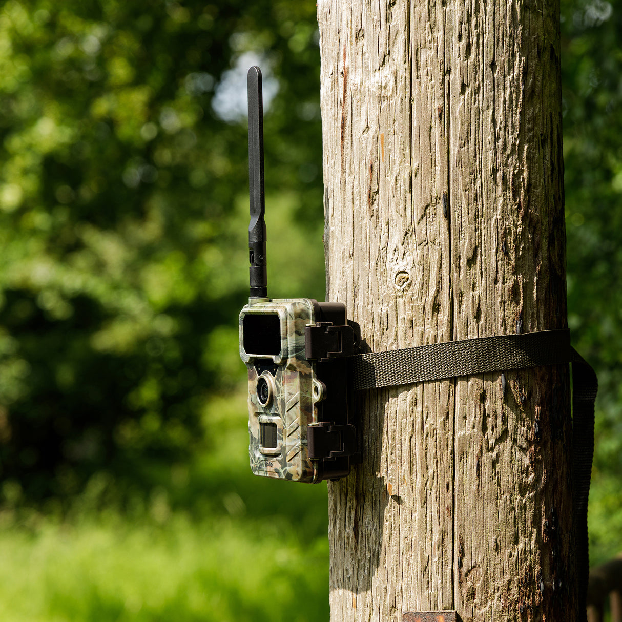 Wild camera 4G Simconnect