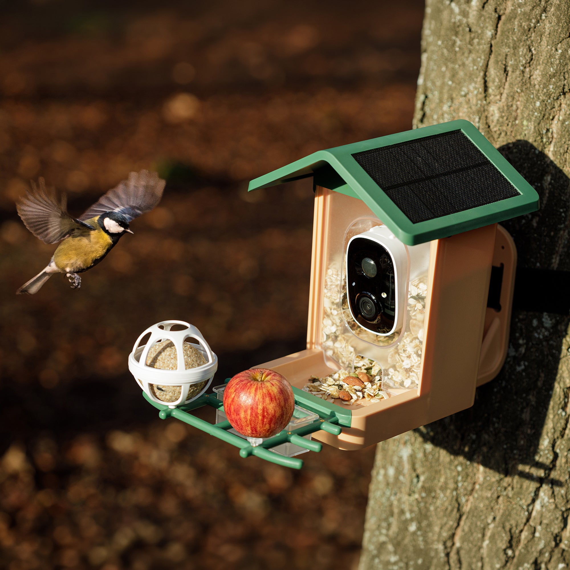 Smart AI Birdhouse 3K