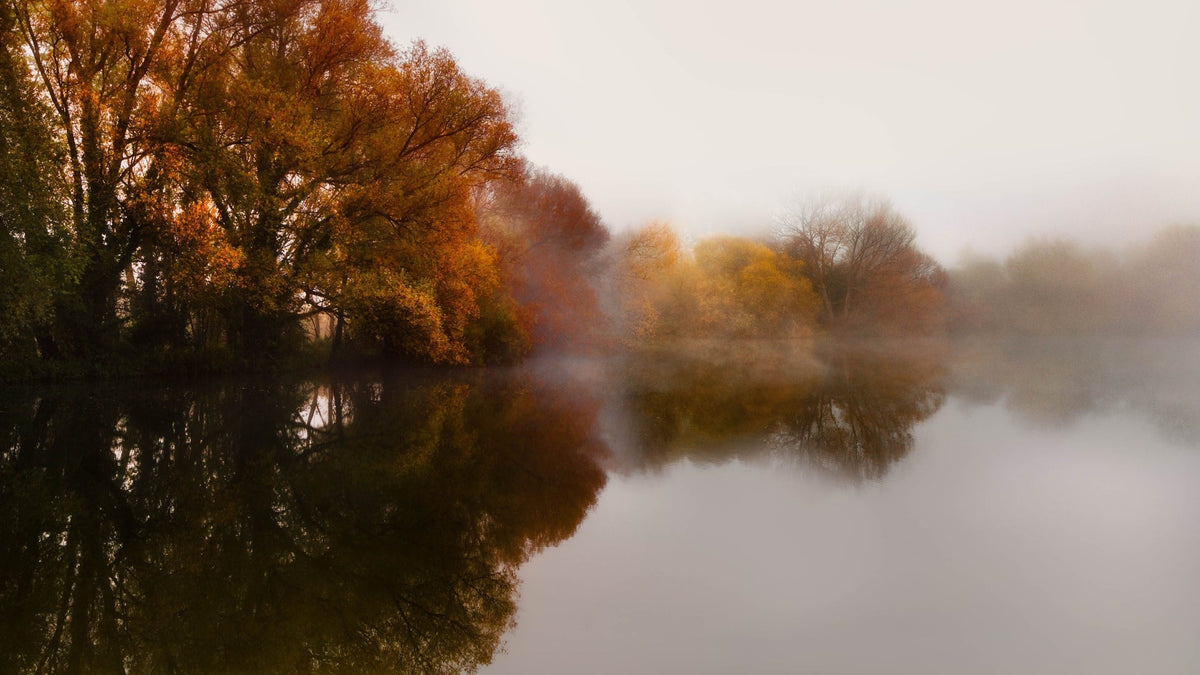 Nebel und Dunst fotografieren