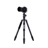 Tripod | Aluminum | C6i