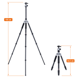 Tripod | Aluminum | C5i