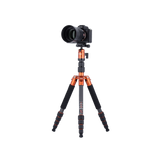 Stativ | Carbon | Compact Traveler No. 1