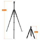 Rock Solid Beta Mark III - Carbon Stativ