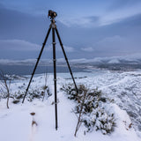 Lion Rock Traveler Pro including tripod head