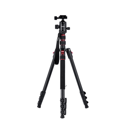 B-Ware: Compact Traveler No. 2