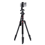 B-Ware: Compact Traveler No. 2