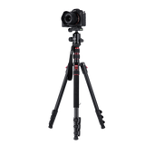 B-Ware: Compact Traveler No. 2