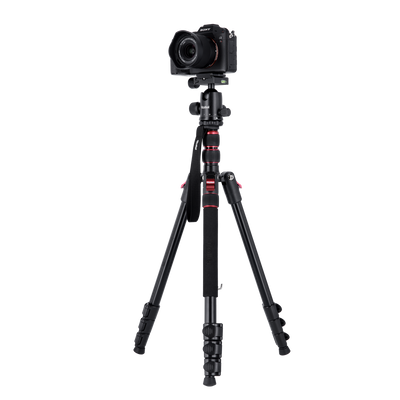 B-Ware: Compact Traveler No. 2