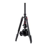 B-Ware: Compact Traveler No. 2