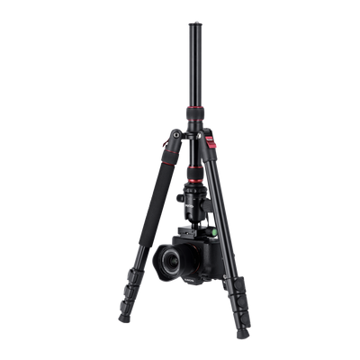 B-Ware: Compact Traveler No. 2
