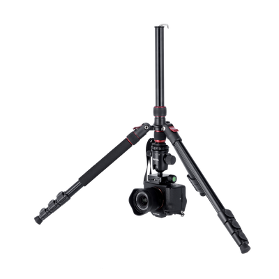 B-Ware: Compact Traveler No. 2