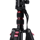 B-Ware: Compact Traveler No. 2