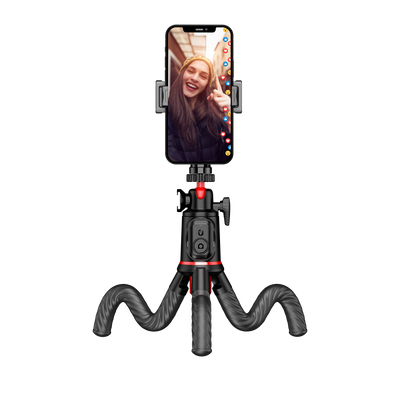 B-Ware Easy Creator MonkeyPod