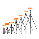 Lion Rock Traveler Pro inkl. Stativkopf | All Black