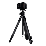 Lion Rock Traveler Pro inkl. Stativkopf | All Black