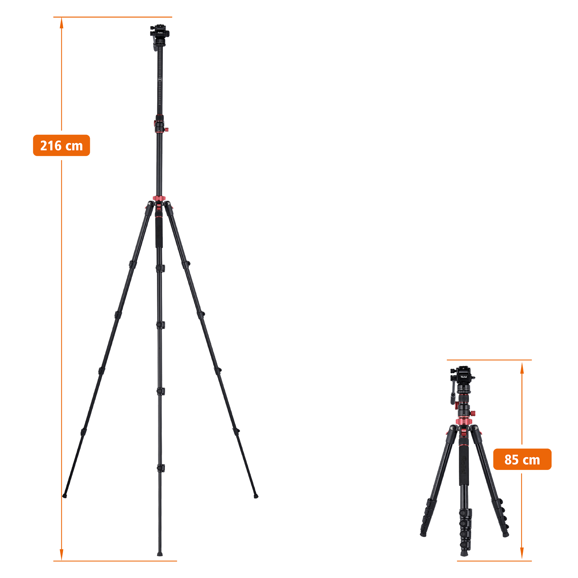 Stativ I Compact Traveler No.2 XL I Video