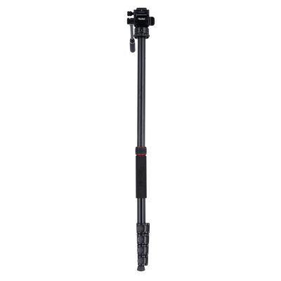 Stativ I Compact Traveler No.2 XL I Video
