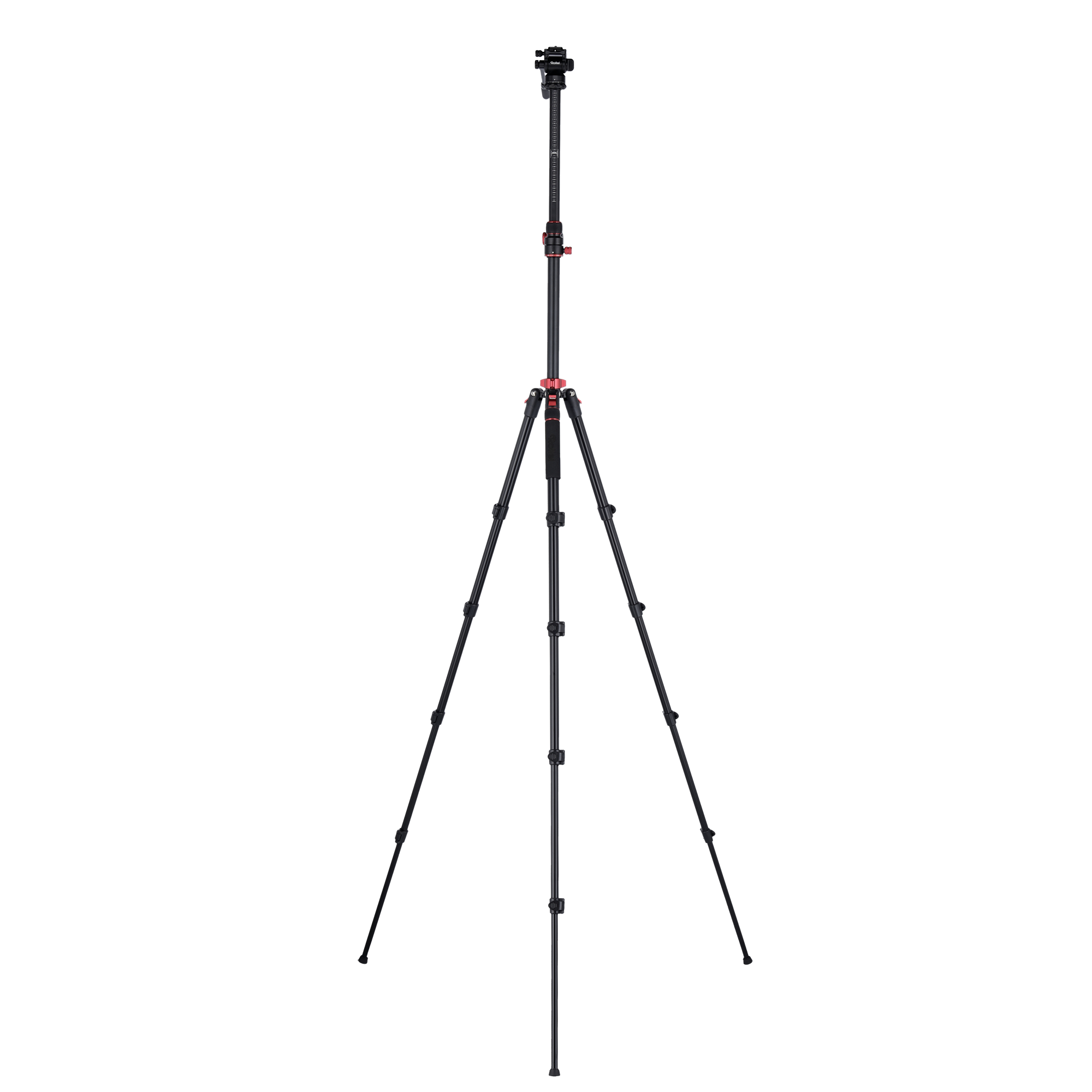 Stativ I Compact Traveler No.2 XL I Video