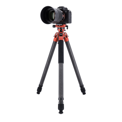 Stativ | Carbon | Compact Traveler Swift