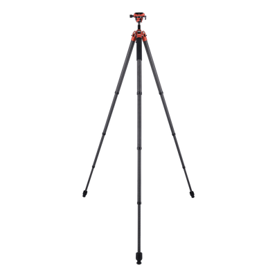 Stativ | Carbon | Compact Traveler Swift