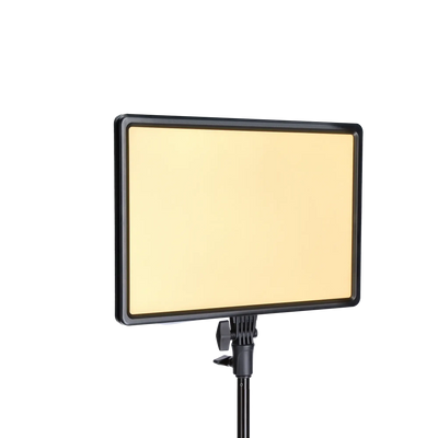 Rollei LED Licht B-Ware: LUMIS LED-Panel Bi-Color