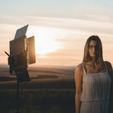 Rollei LED Licht Lumen Panel 900 Bi-Color - LED-Panel