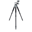 Rollei Stative Lion Rock Gimbal M Stativ